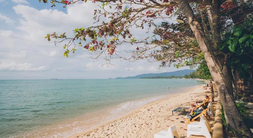 Chill Inn Lipa Noi Hostel and Beach Cafe - Image 1