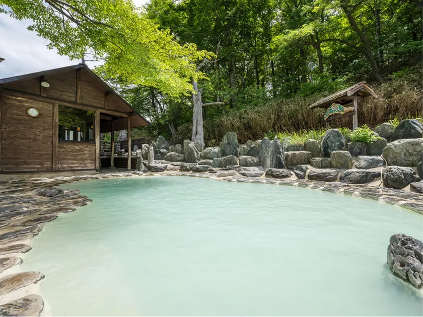 Noji Onsen Hotel - Image 1