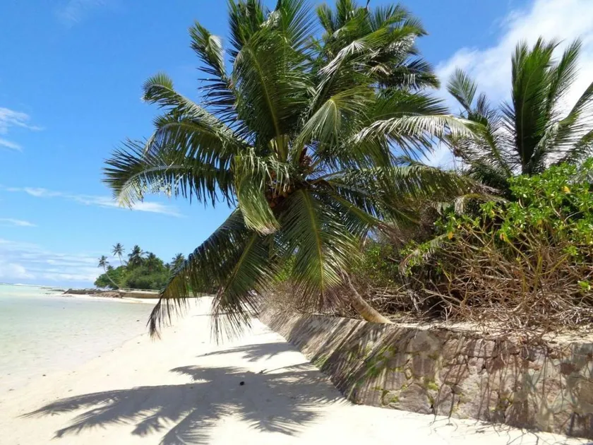 HCS Bungalows Turtle Bay Rustic Bungalow - Image 1