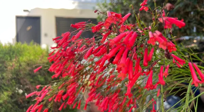 Natalia's Townhouse, Margarita Gardens 003 - Image 1