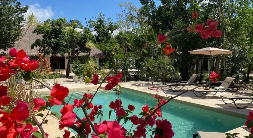 Maya Eco Village - Image 1