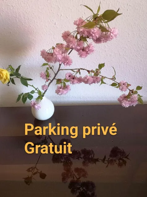 Appartement Zen Strasbourg center avec parking - Image 1