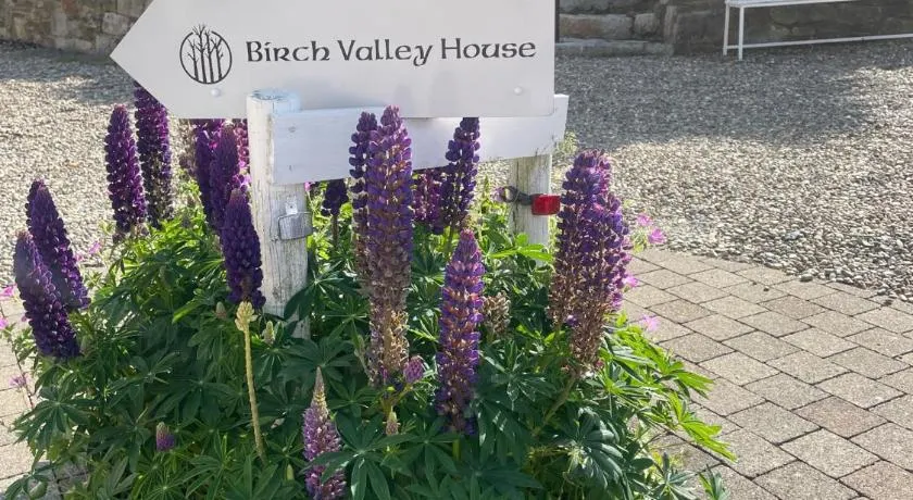 Birch Valley Accommodation Tinahely Wicklow Ireland - Image 1