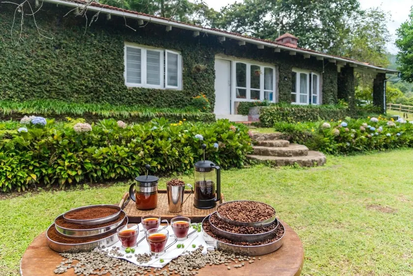 SaffronStays Nandanvan Estate - 3-BR villa in 35-acre coffee estate near Kodaikanal offering guided tours and bonfires - Image 1