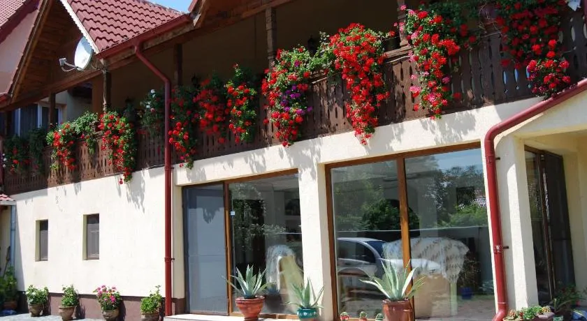 Pensiunea Casa Filoxenia - Image 1
