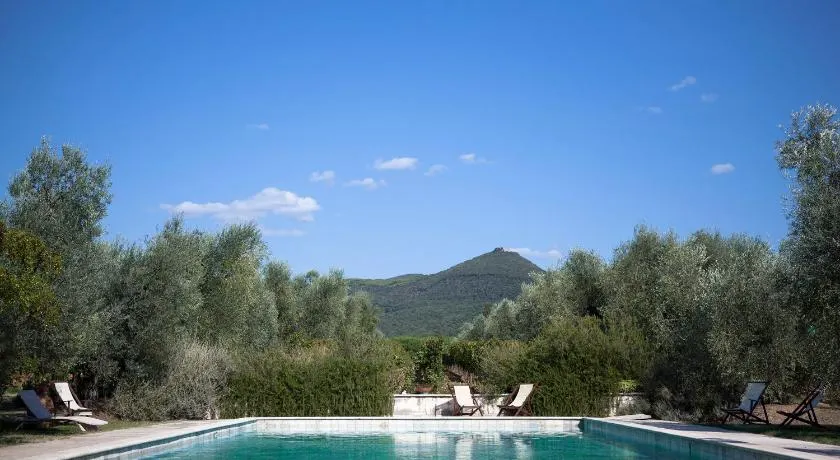 Agriturismo Tra gli Ulivi, Chiappini Winery - Image 1