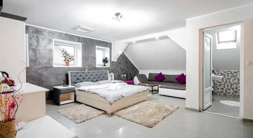 Cazare MOLDI - regim hotelier - Image 1