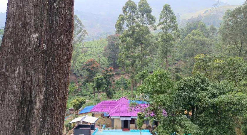 Munnar home stay - Image 1
