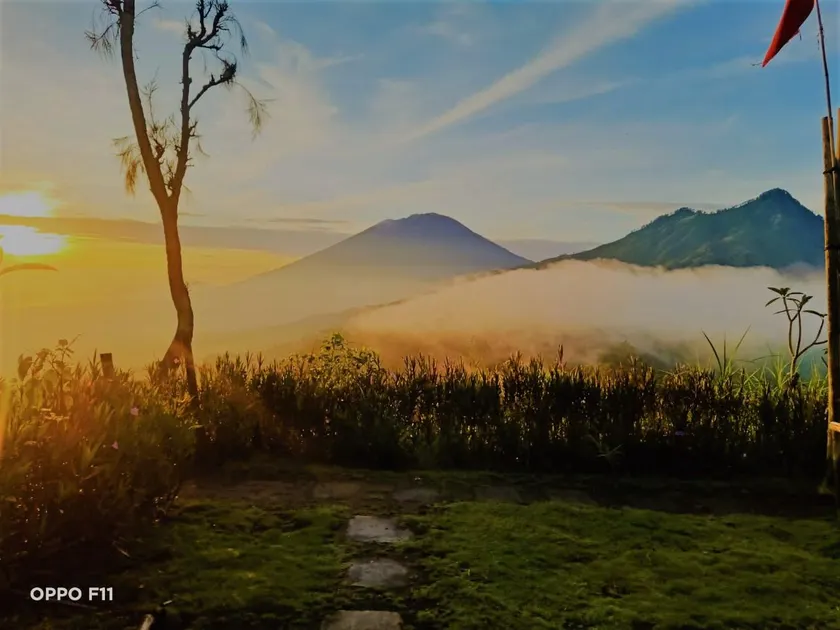Bali Sunrise Camp & Glamping - Image 1