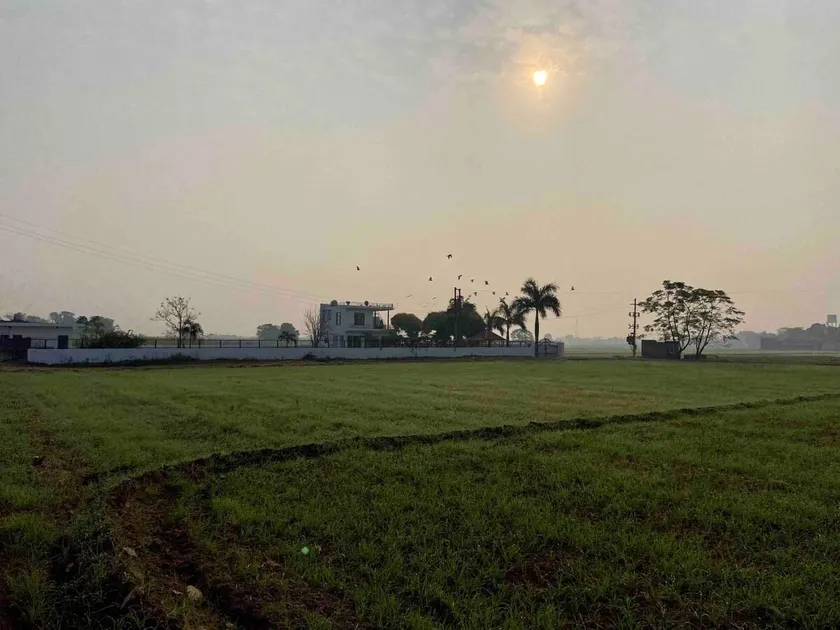 Pali Farmstead - Image 1