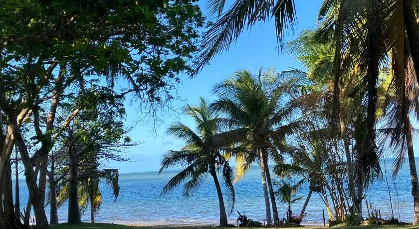 Ebony Beach - Image 1