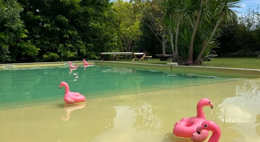 Le Patio, chambres d hôtes pour adultes en Camargue, possibilité de naturisme à la piscine, - Image 1