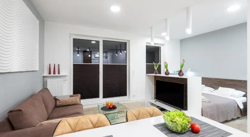 Apartament Luxury Miedzyborska 8b - Image 1