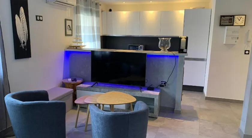 Grand studio très agréable avec bar, cuisine et terrasse - Image 1