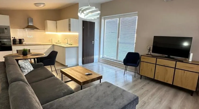 Samorin Loft with large terrace - Image 1