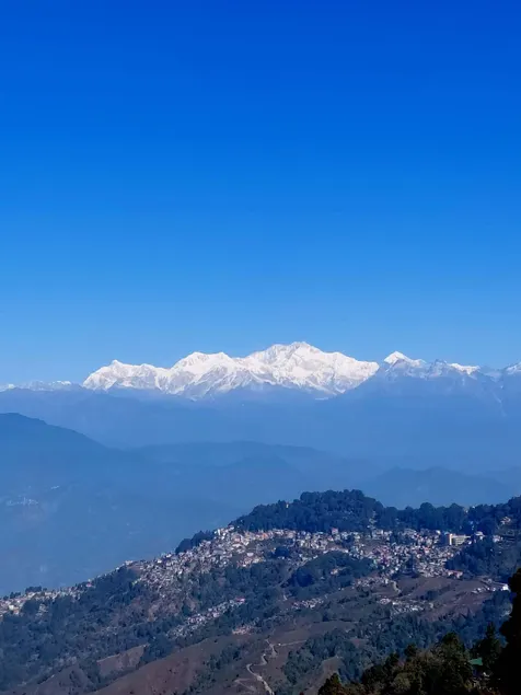 Viraj Kunj Homestay - Image 1
