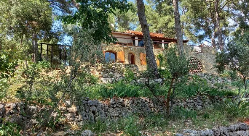 LES PINS - Image 1