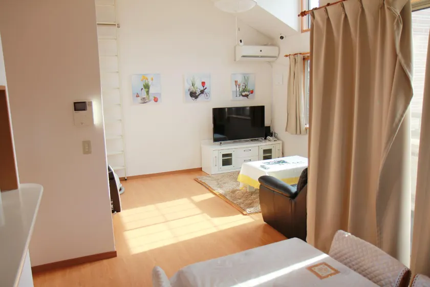 Natural hot springs, walking distance to Tokyo - Image 1