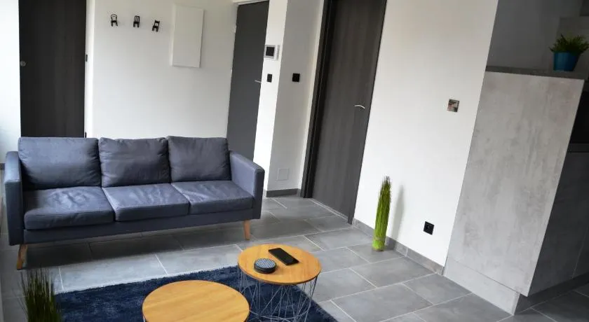 Le Cygne, appartement de standing en hyper-centre - Image 1