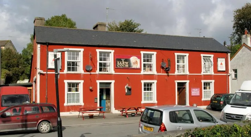 Y Llew Coch Tregaron - Image 1