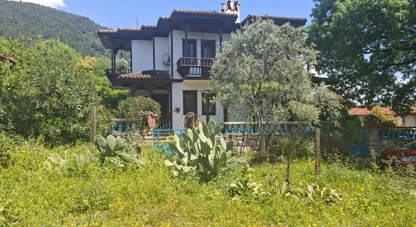 Villa İkiz - Image 1