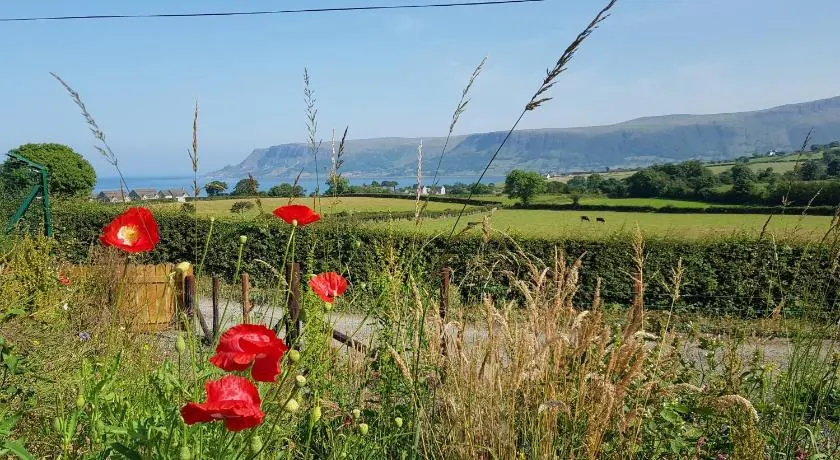 Glens glamping - Image 1