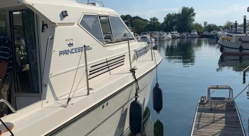 The River Thames - Surrey Boat - Image 1