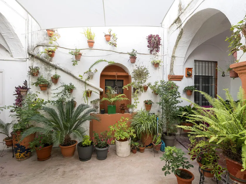 Casa Cuna - Image 1