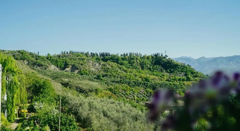 Bujtina ANLU - Image 1