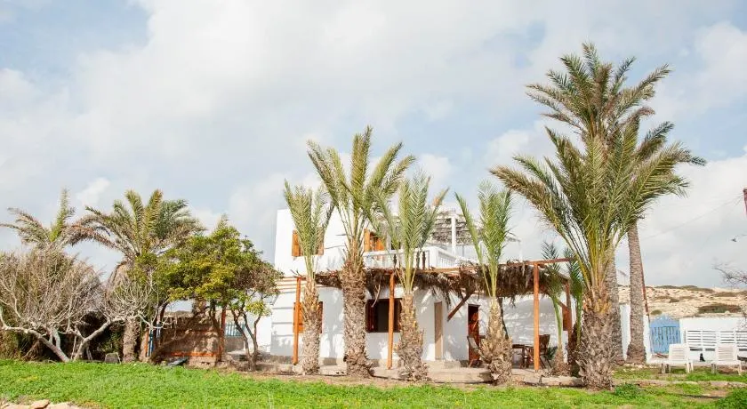 Palmhouses - Image 1