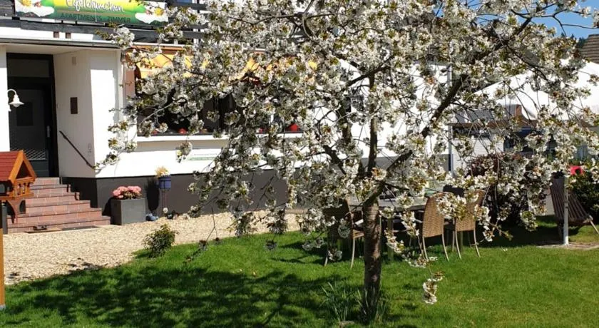 Eifelblümchen - Image 1