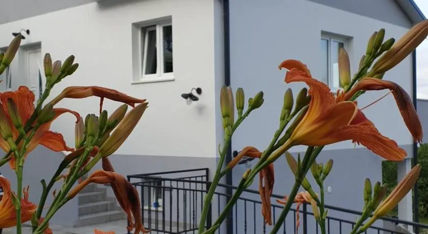 Villa Zita Lovran - Image 1