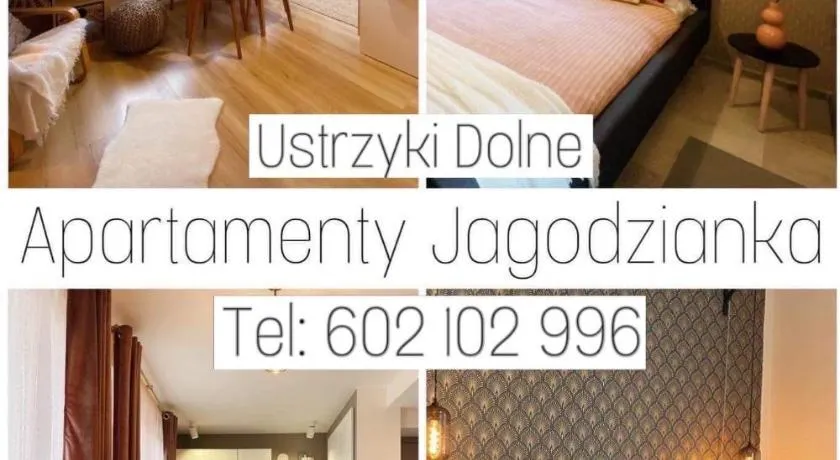 Apartamenty Jagodzianka - Jacuzzi,Sauna,Hot-bania,E-Bike ,Tężnia - Image 1