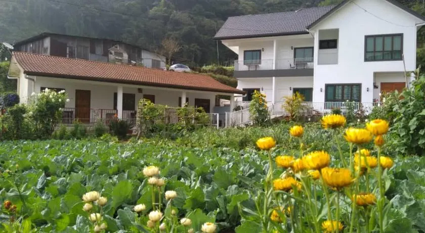 Ng Family’s Farm Stay - Image 1