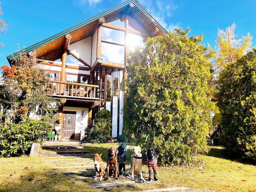 Hakuba Log Hotel Meteor - Image 1