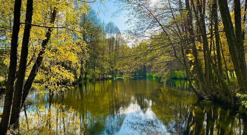 Ośrodek Wypoczynkowy Lido Noclegi - Image 1