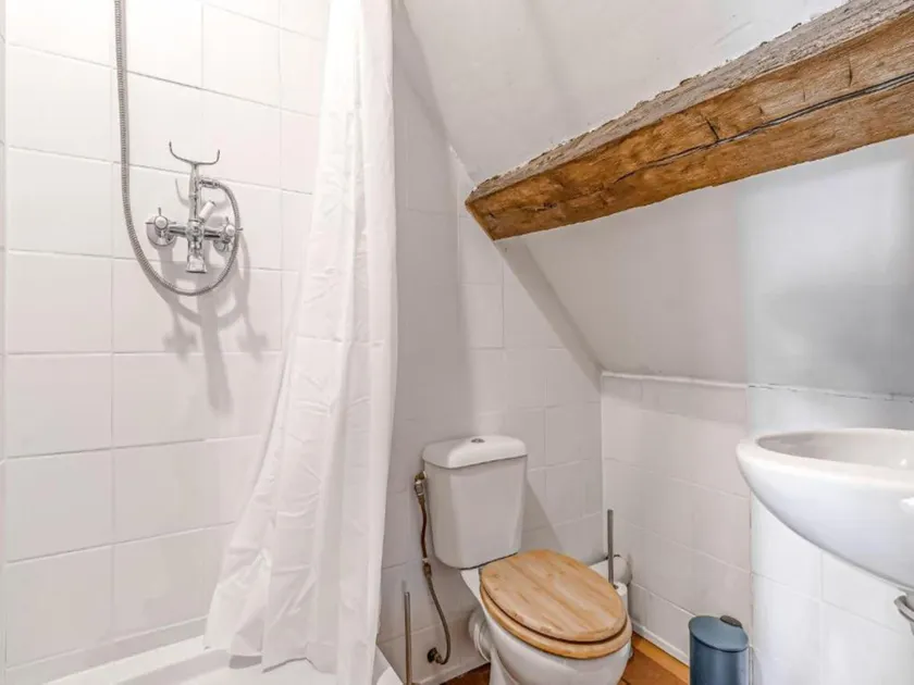 Spacious farmhouse with garden in Val de Loire - Image 1