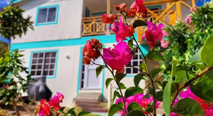 Colorful Garden House - Image 1
