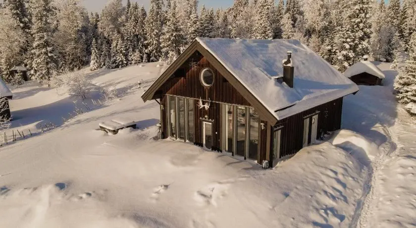Ottsjö-Åre Lodge - Image 1