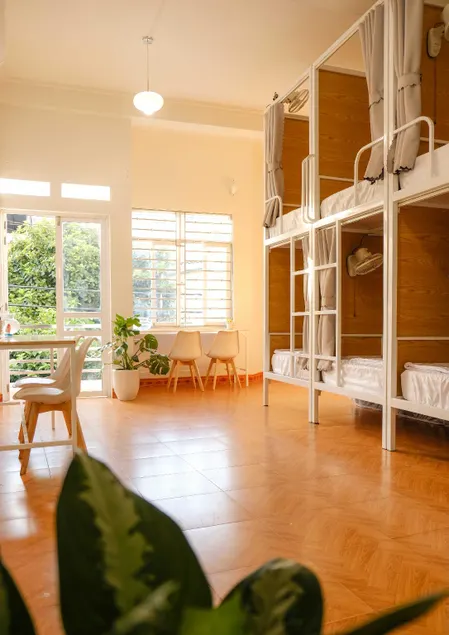 Lazy Cat Homestay - Motorbikes Rental & Tours - Image 1