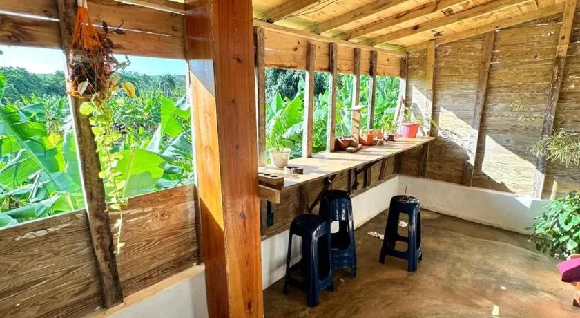 Hostel La Ballena Backpacker - Image 1