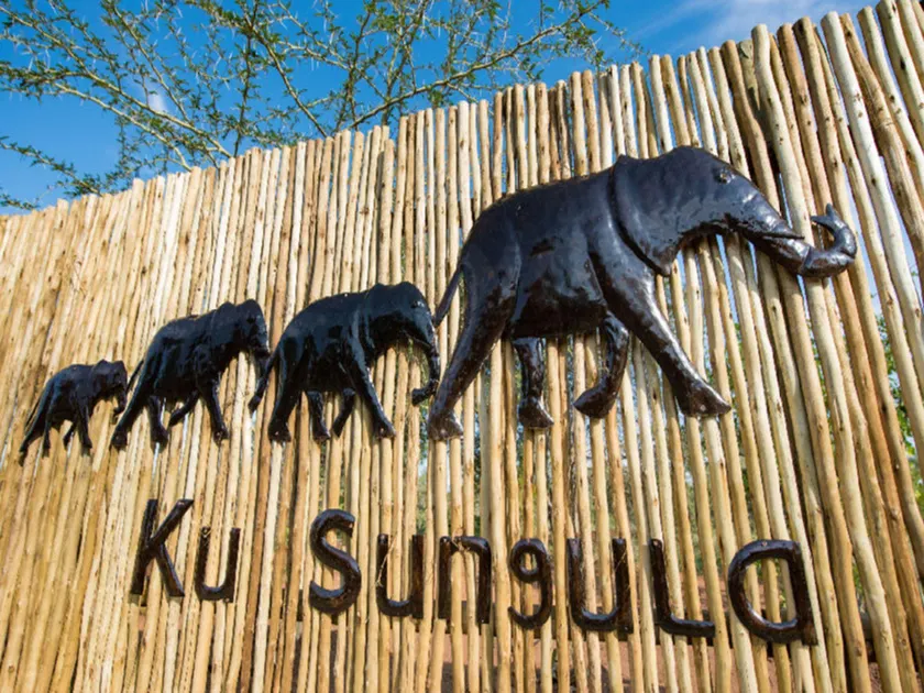 Ku Sungula Safari Lodge - Image 1