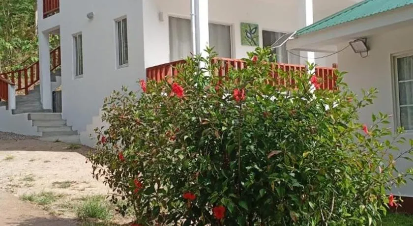 Blissful hill top Apartment - Image 1