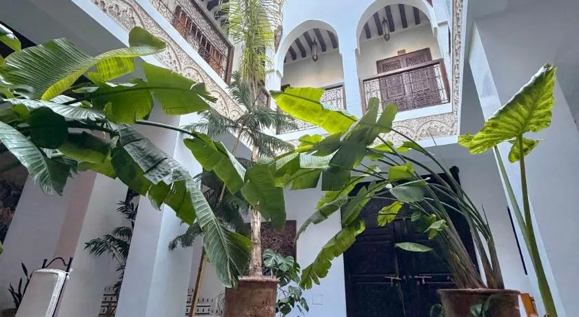 Riad Aguaviva - Image 1