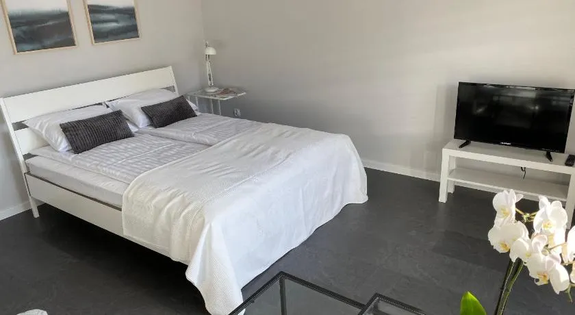 APARTAMENT SMIALEGO 9 - Image 1