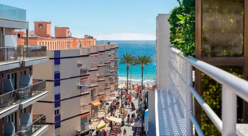 Apartamentos Edf AUREA y Edf SARVACHO - Image 1