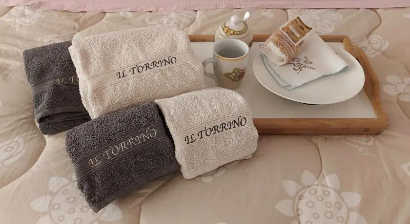 IL TORRINO - Image 1