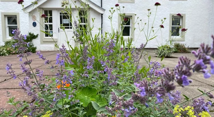 Hartfield House Hostel - Image 1