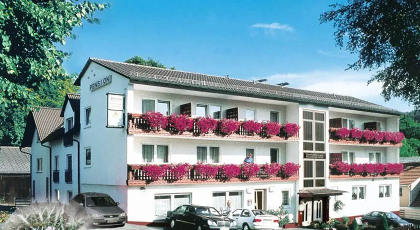 Pension und Fewo Hohe Rhön - Image 1