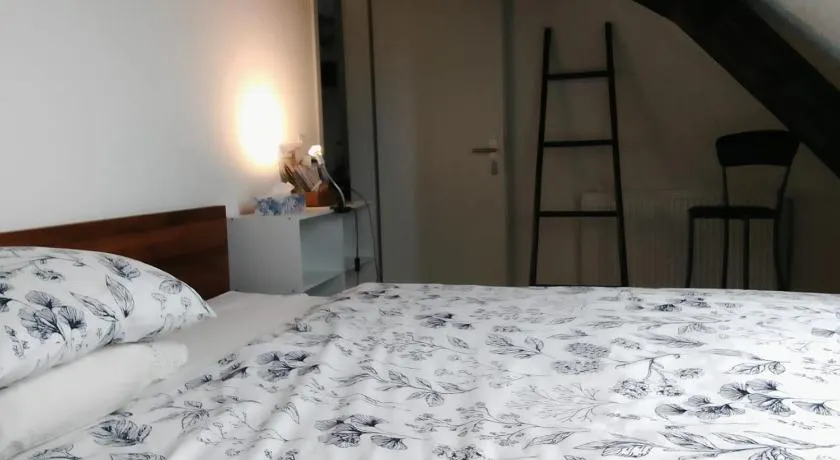 Basel Rühige Zimmer mit grösse Doppelbett - Image 1